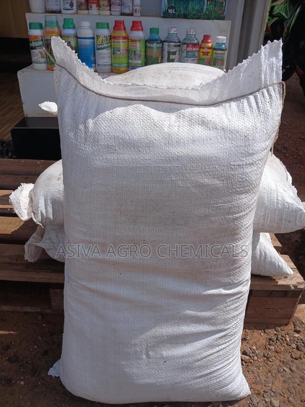 Cocopeat for Nursery and Planting photo 3