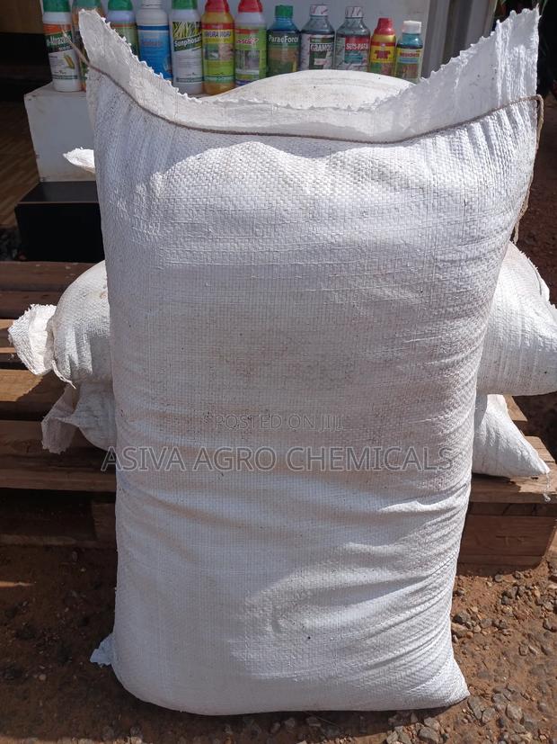 Cocopeat for Nursery and Planting photo 4