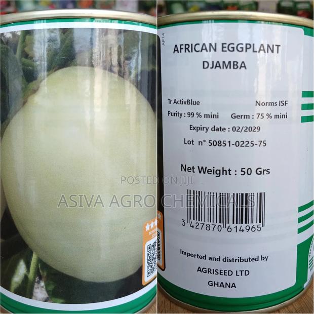 African Eggplant Seeds (Garden Egg)