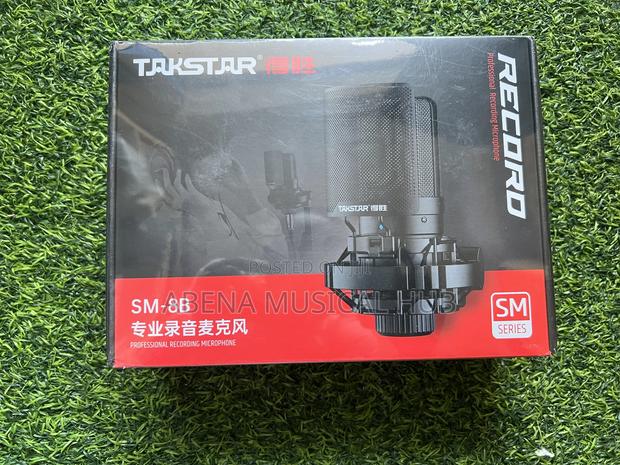 Takstar Studio Microphone · Photo 4