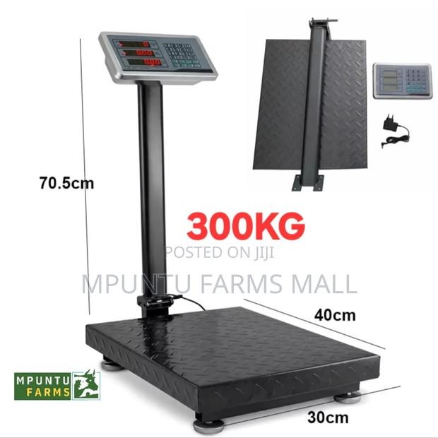 300kg Digital Industrial Platform Scale