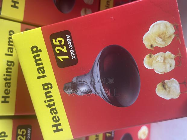 Heat Bulb for Brooding photo 2