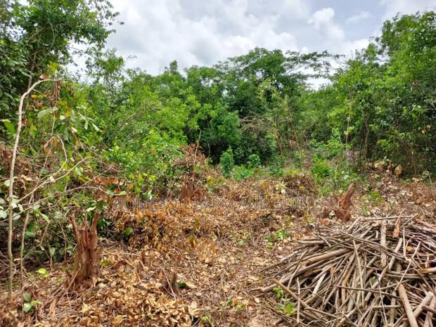 2 Acres Roadside (Main Highway) Residential/Commercial Land · Photo 1