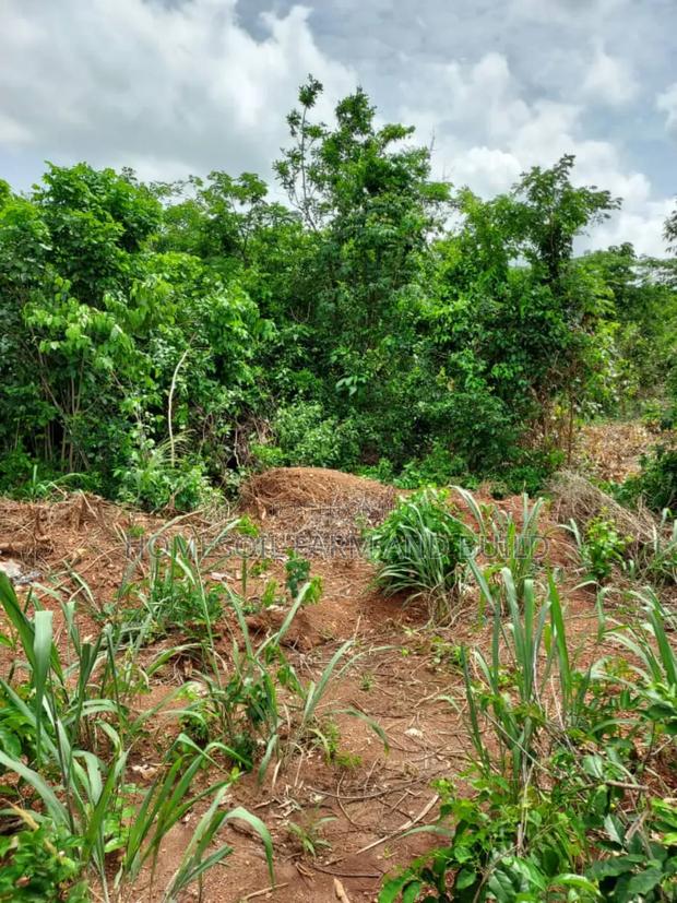 2 Acres Roadside (Main Highway) Residential/Commercial Land · Photo 2