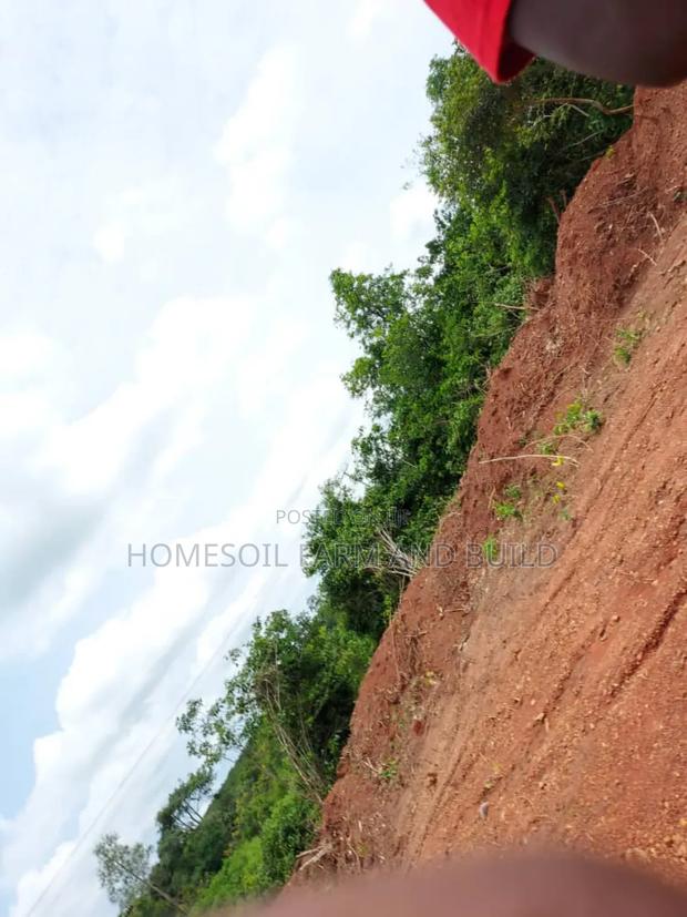 2 Acres Roadside (Main Highway) Residential/Commercial Land · Photo 4
