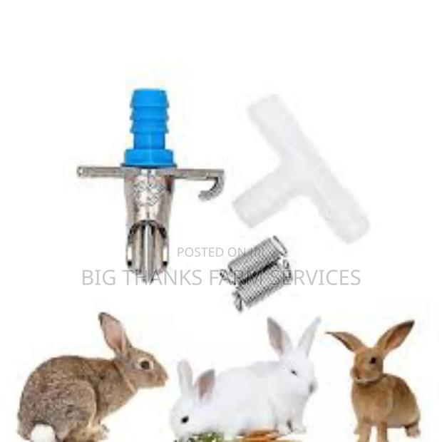 Rabbit Automatic Drinkers(Different Types) · Photo 2