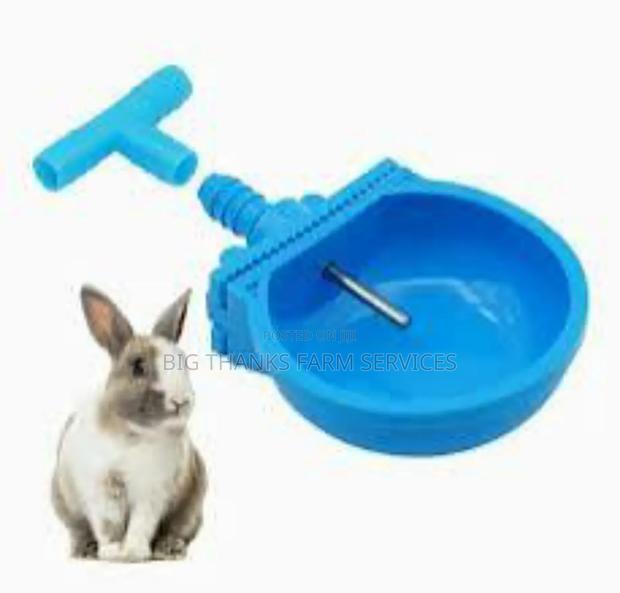 Rabbit Drinkers (Standard) · Photo 2