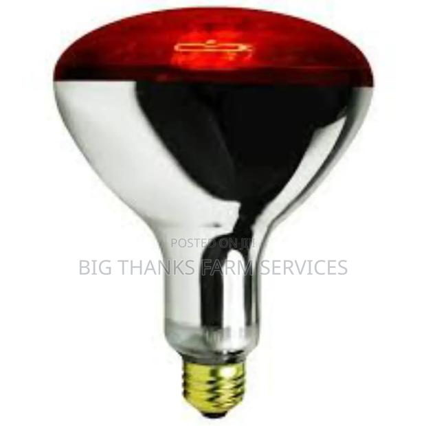 Poultry Heater Bulbs And Holders,250w &More · Photo 3