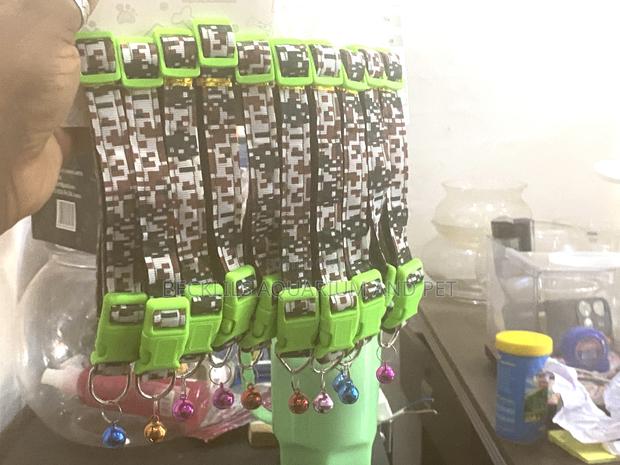 Lead and Collar for Dogs · Photo 3