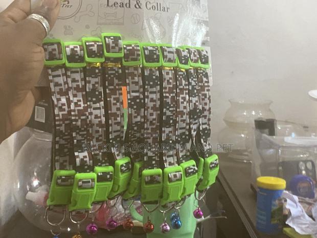 Lead and Collar for Dogs · Photo 4