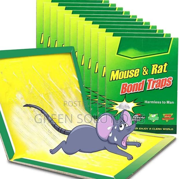 Rat Mouse Glue Trap Boards (Wholesale) photo 2