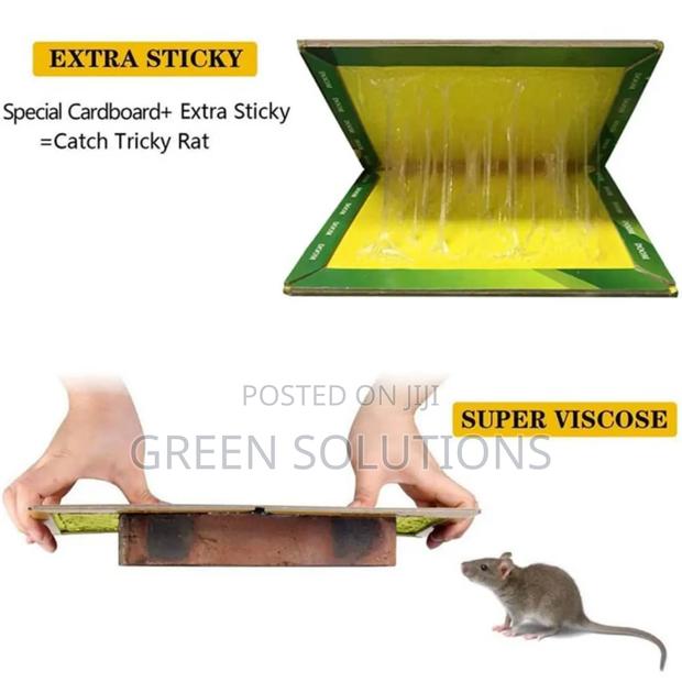 Rat Mouse Glue Trap Boards (Wholesale) photo 3