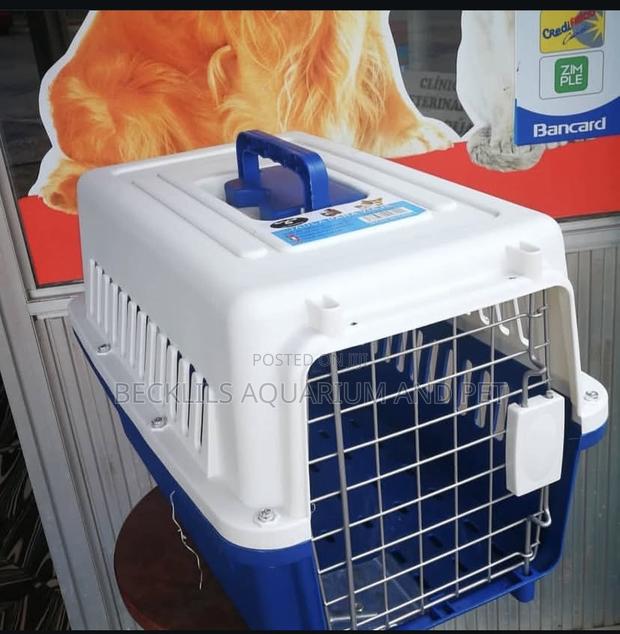 Spot Pat Design Plastic Dog Cage · Photo 2