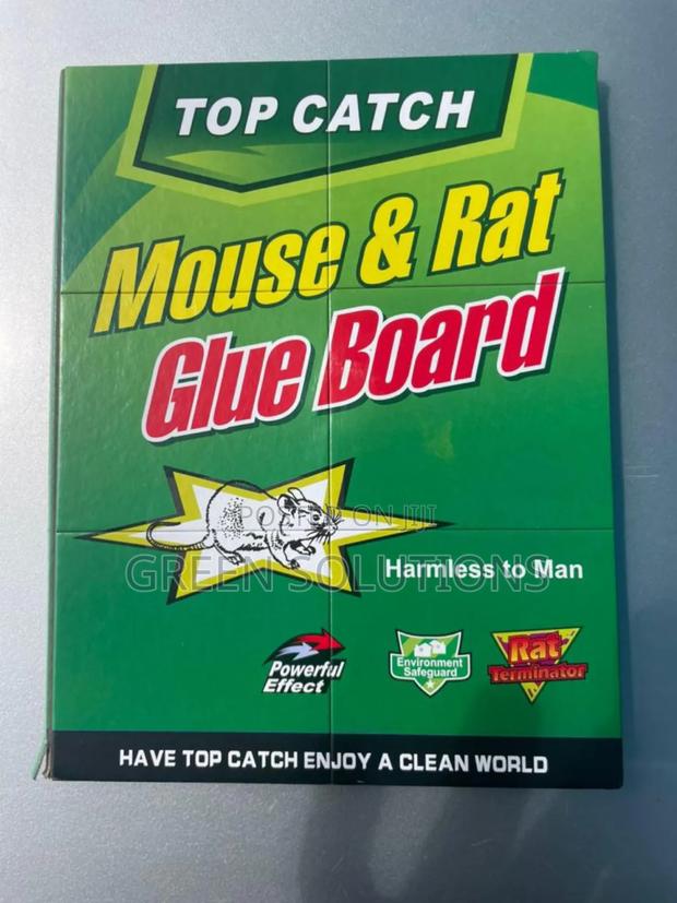 Rat Mouse Glue Trap Boards (Wholesale) photo 6