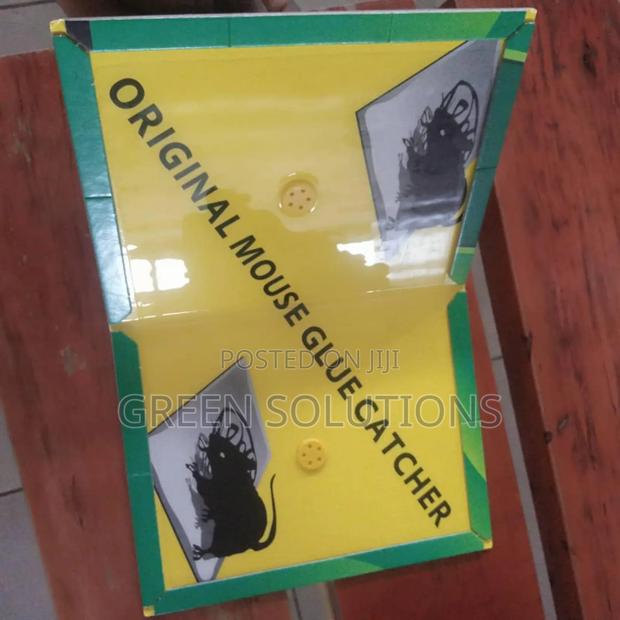 Rat Mouse Glue Trap Boards (Wholesale) photo 7