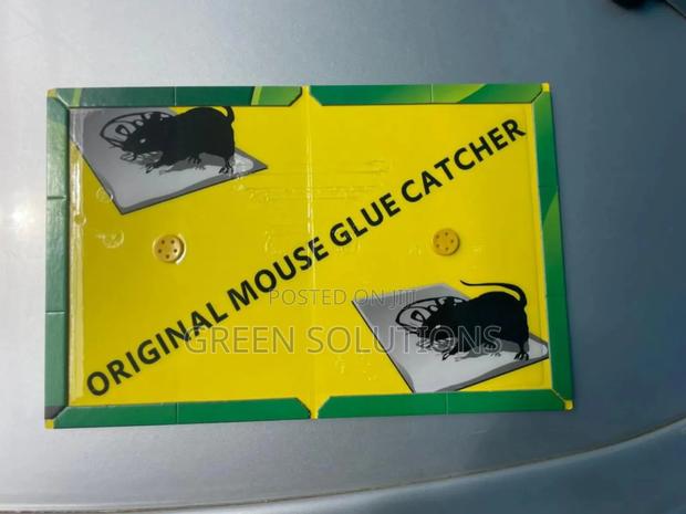 Rat Mouse Glue Trap Boards (Wholesale) photo 5