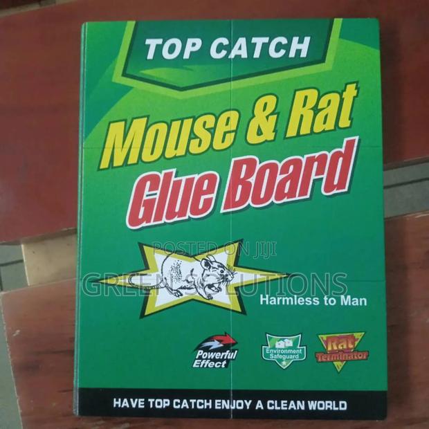 Rat Mouse Glue Trap Boards (Wholesale) photo 8