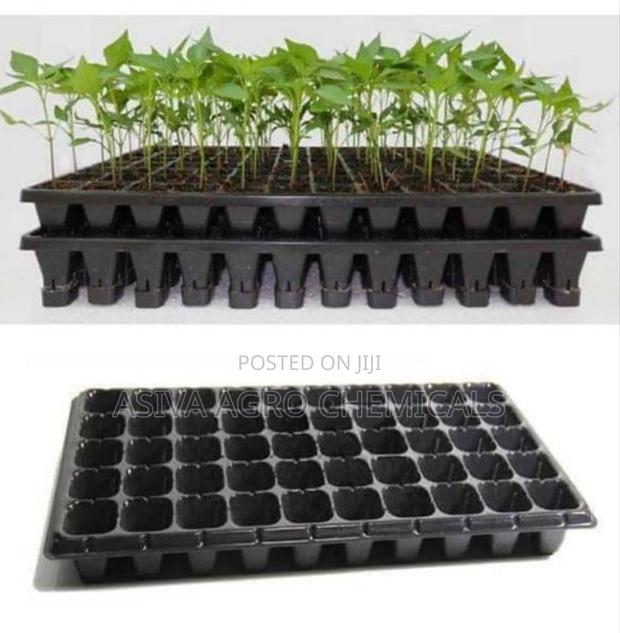 Nursery/ Seedling Trays