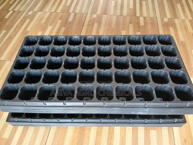 Nursery/ Seedling Trays photo 4