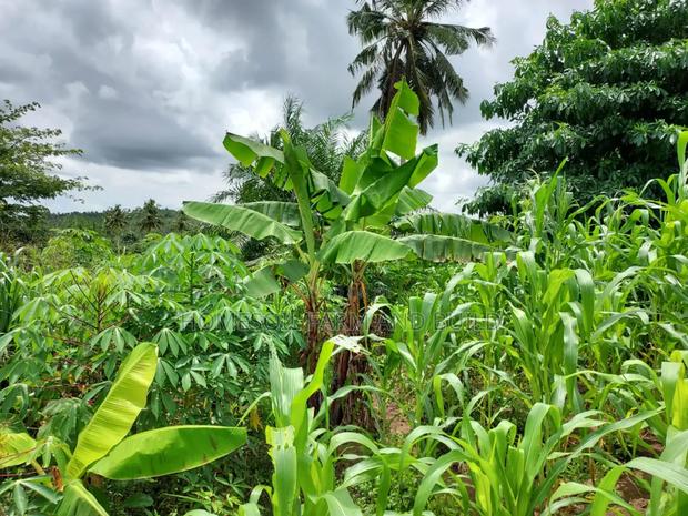 2 Plots of Litigation-Free, Strategically Located Land · Photo 4
