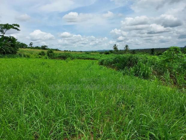 2 Plots of Litigation-Free, Strategically Located Land · Photo 2