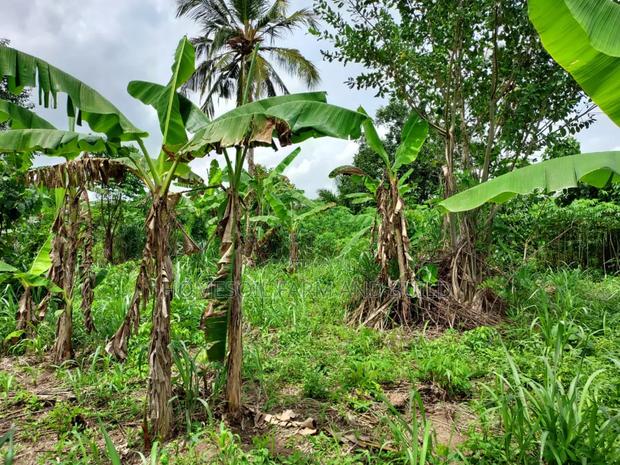 2 Plots of Litigation-Free, Strategically Located Land · Photo 3