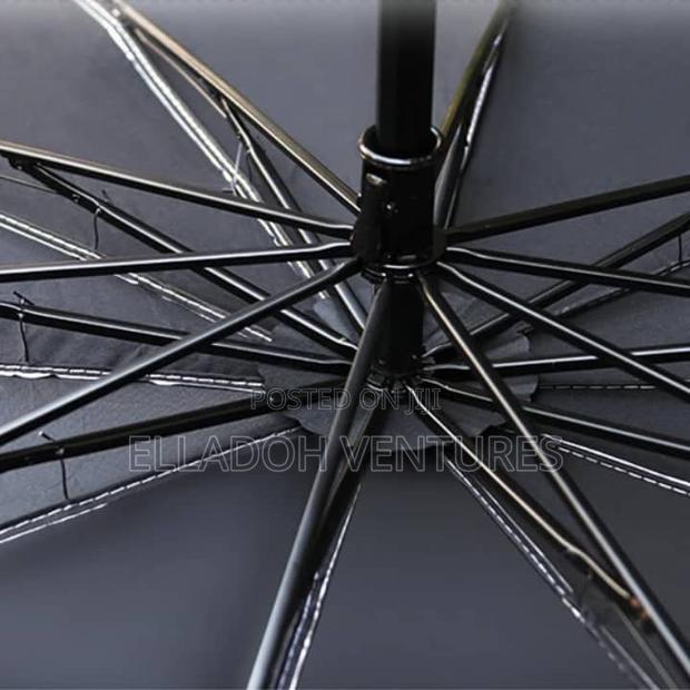 Car Sunshield Umbrella photo 2