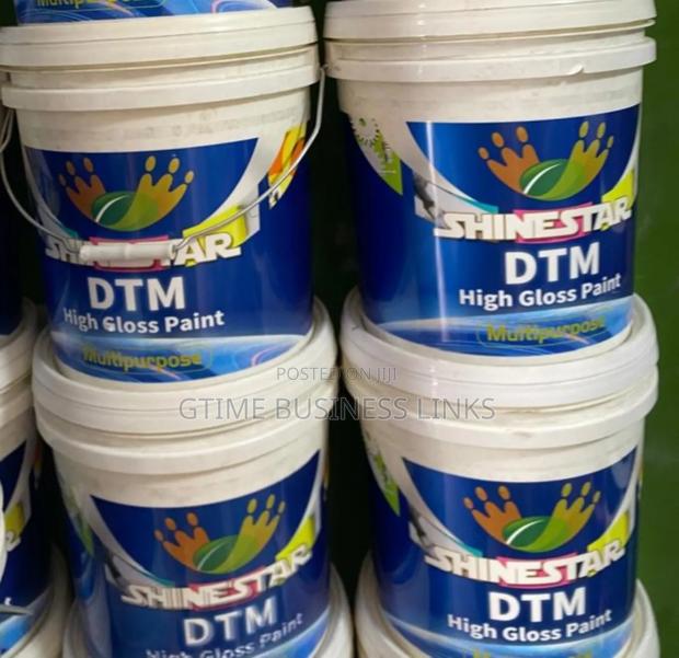 DTM Paint (20l) - Reduction Sales !