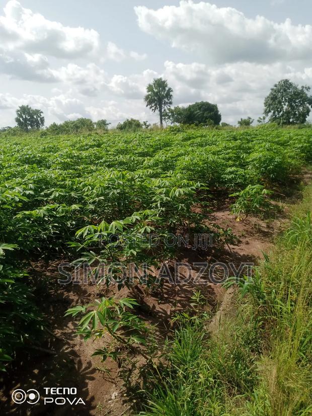 3000 Acres of Farm Land for Sale