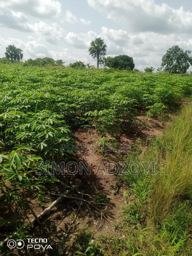 3000 Acres of Farm Land for Sale