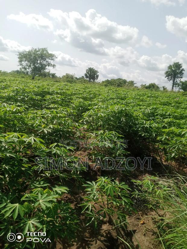 3000 Acres of Farm Land for Sale