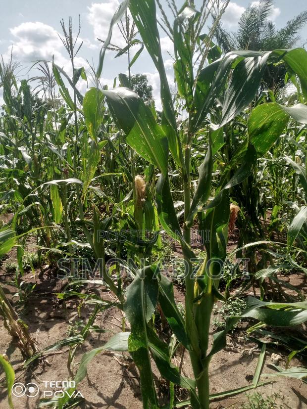 3000 Acres of Farm Land for Sale