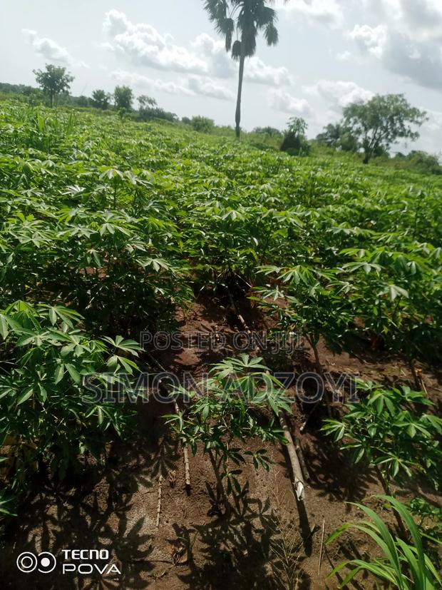 3000 Acres of Farm Land for Sale