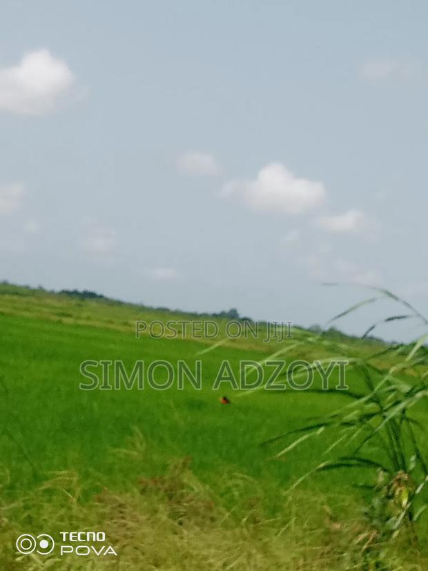 Rice Land for Rent Close to Volta Lake