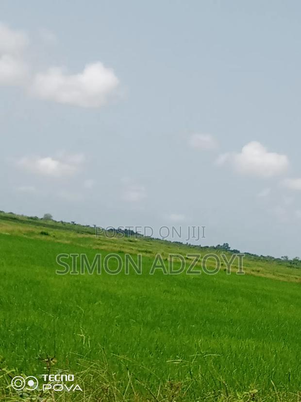 Rice Land for Rent Close to Volta Lake