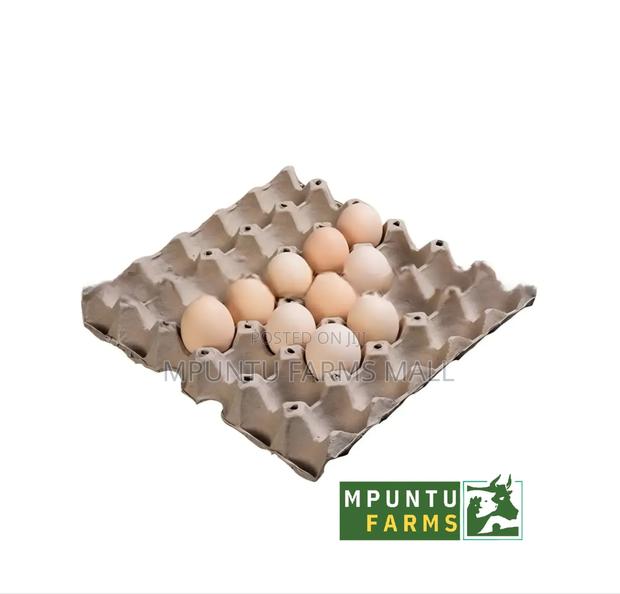 Paper Egg Crates photo 2