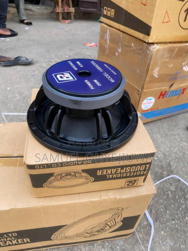10 Inches Naked Speaker Big Magnet 8ohms. A Pair · Photo 2