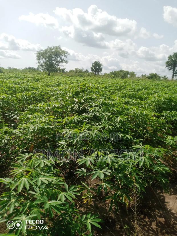 Full Registered Off 10 Acres of Land