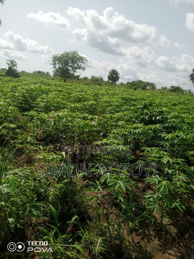 Full Registered Off 10 Acres of Land