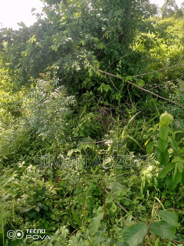 Full Registered Off 10 Acres of Land