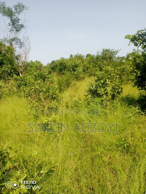 Full Registered Off 10 Acres of Land