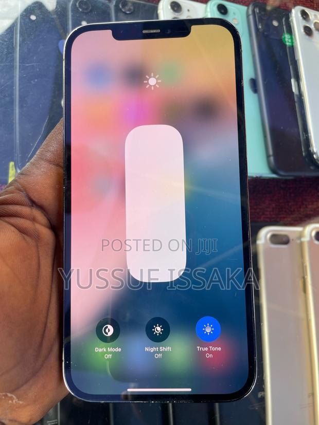 Apple iPhone 13 Pro Max 128 GB Gray