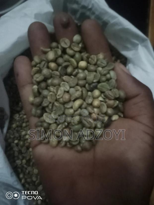 Coffee Beans for Sale