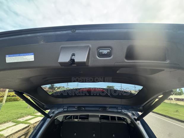 Hyundai Santa Fe Limited 2021 Blue