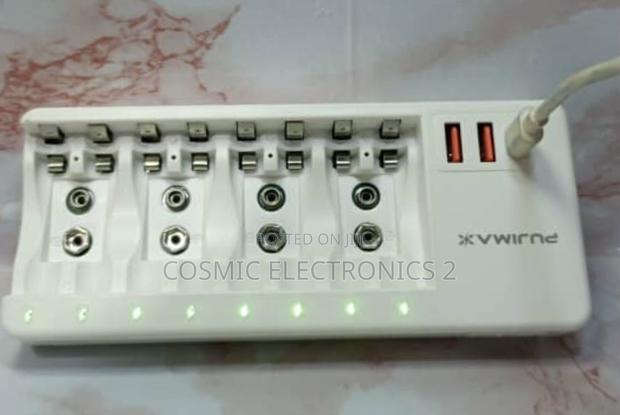 Pujimax 1.2v Smart Battery Charger