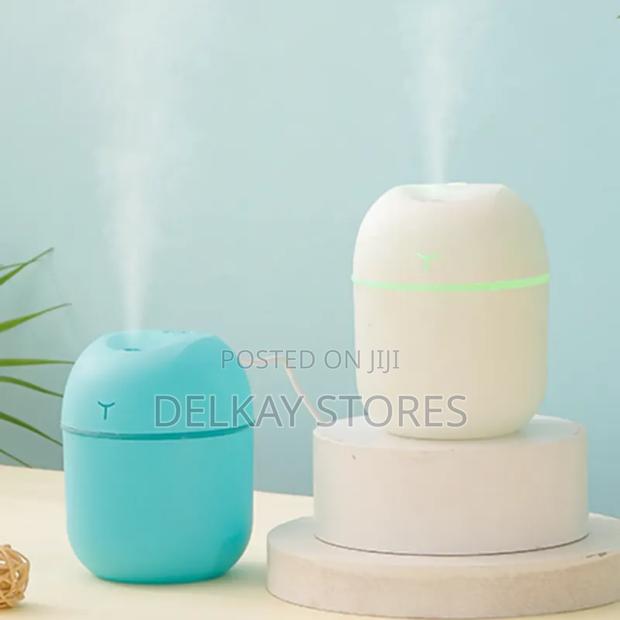 Mist Humidifier-220ml