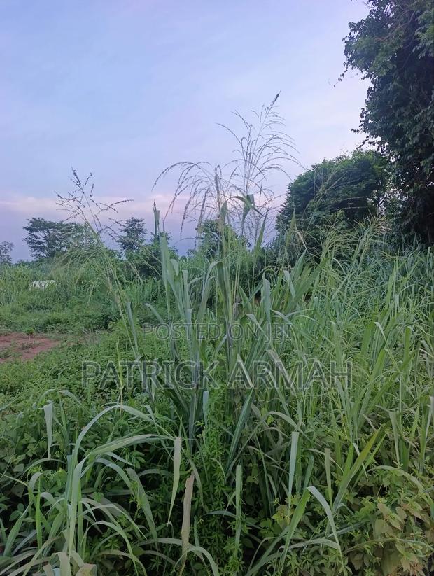 2 Roadside Plots at Ejisu Kwaso
