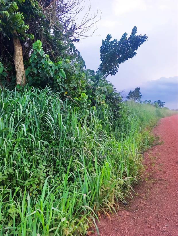 2 Roadside Plots at Ejisu Kwaso
