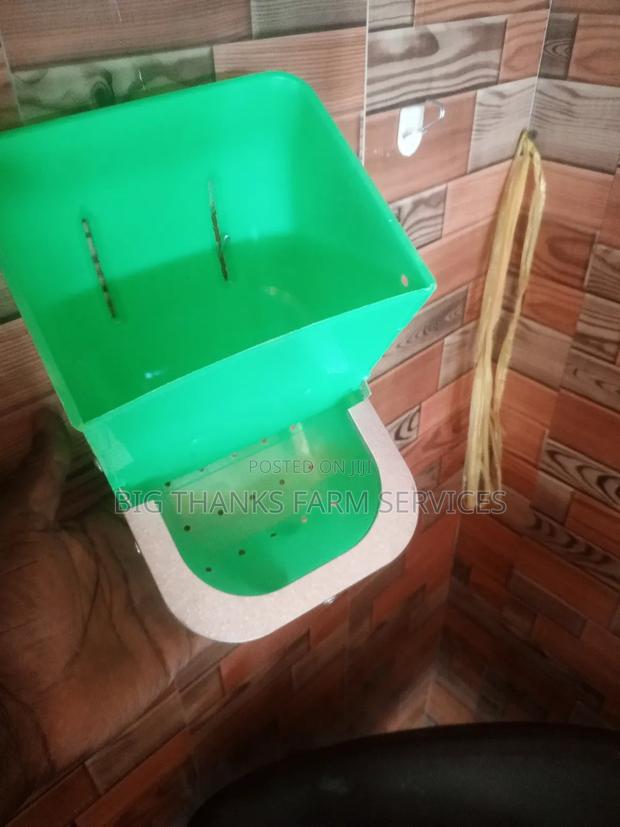 Rabbit J Feeders · Photo 4