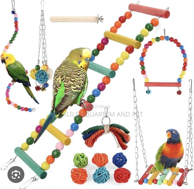 Tophill Toys for Parrot · Photo 3